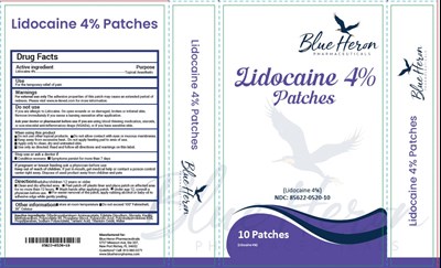 Label (Lidocaine 4 Patches   10 Ct)